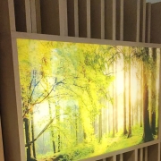 OS Wohnkonzept steht für hochwertige, maßgeschneiderte und passgenaue Möbel, die langlebig, robust und wirkungsvoll Ihr Zuhause verschönern und aufwerten. Unsere begeisterten Kunden kommen aus der Rhein-Neckar-Region, rund um Karlsruhe, Pforzheim, Mannheim, Heidelberg, Walldorf, Ludwigshafen, Baden-Baden, Ettlingen, Sinsheim, Bruchsal, Hockenheim, Schwetzingen.